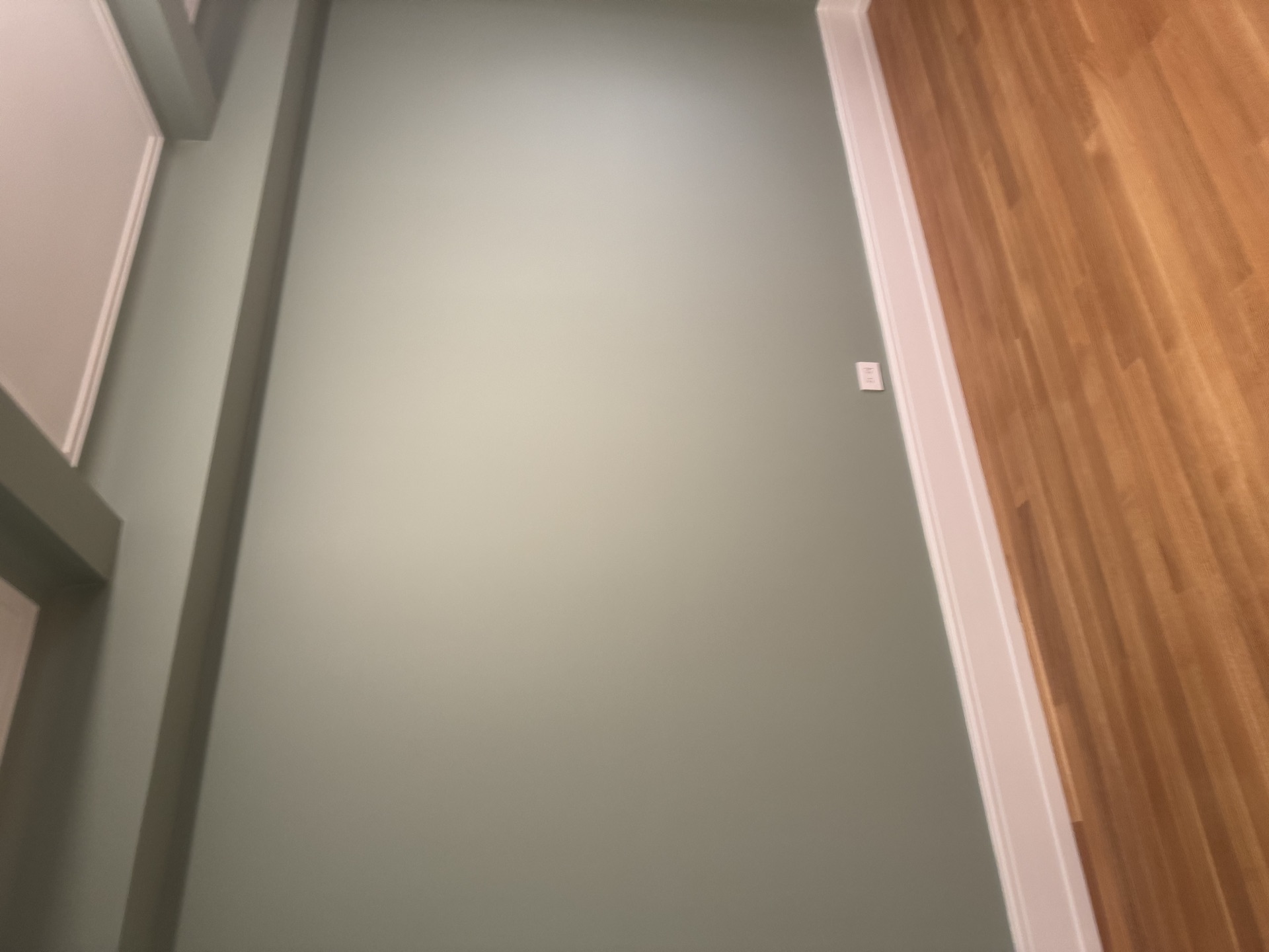 Smooth sage green wall meeting white baseboard and hardwood floor
