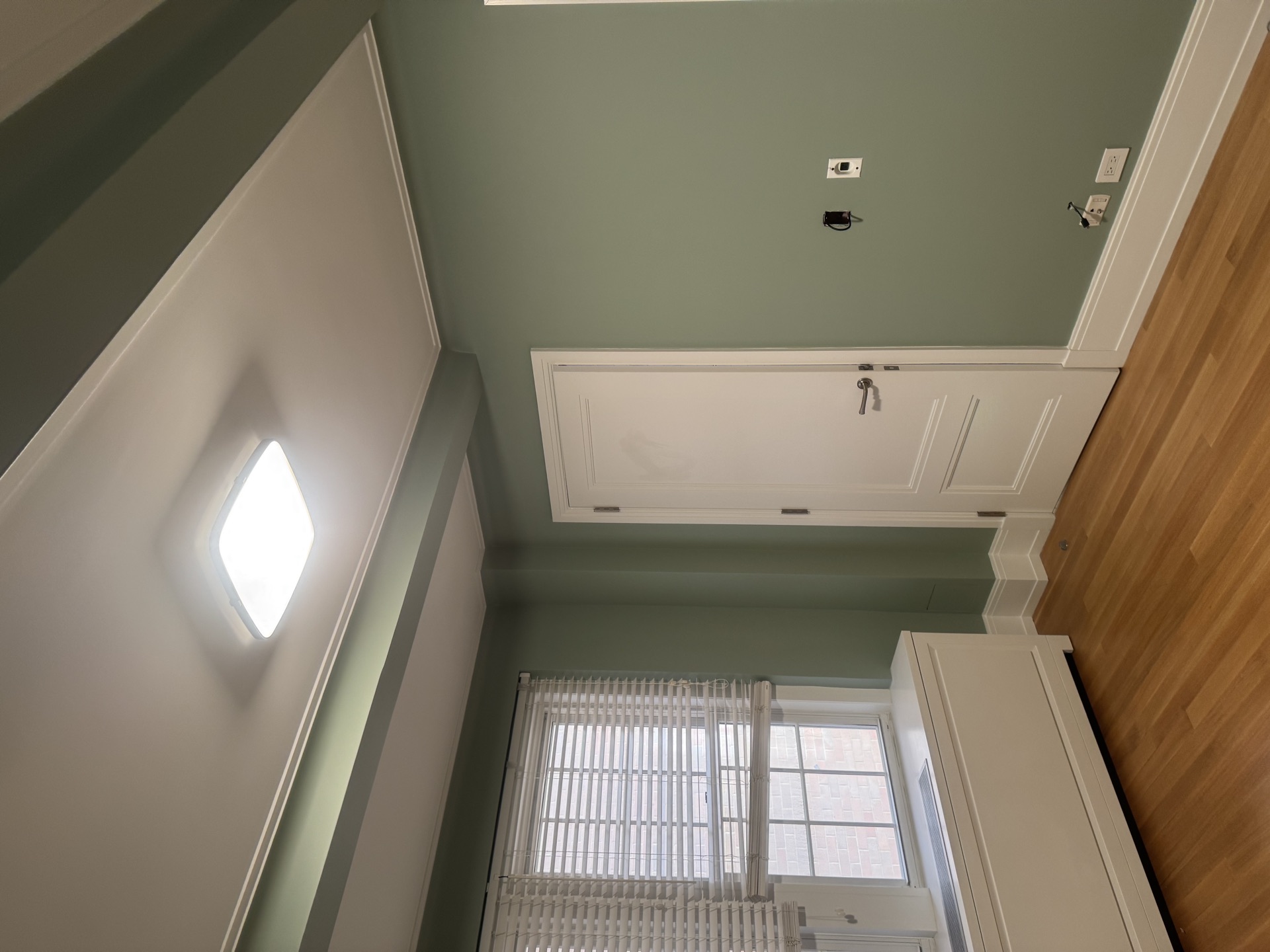 Sage green walls with white paneled door and crown molding