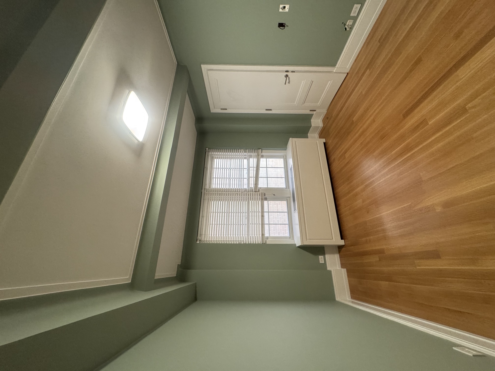 Sage green bedroom with white paneled door, window, and hardwood flooring
